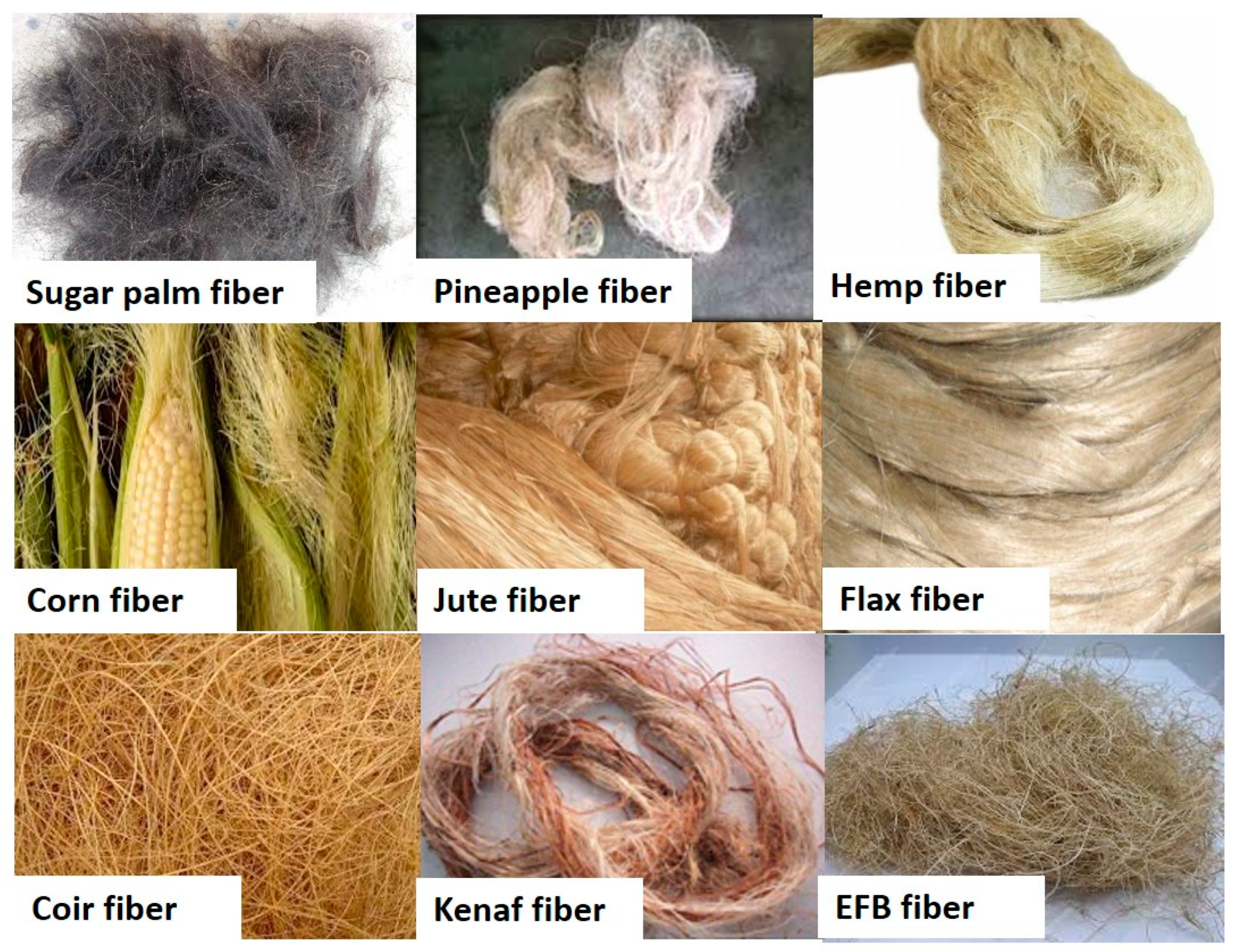 Types of Natural Fiber