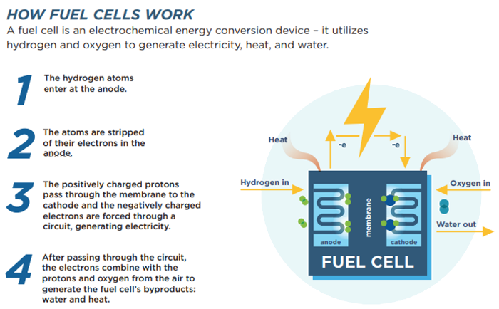 Fuel Cell
